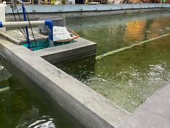 -光头佬室内钓虾场·烧烤·团建·亲子(中山八路店)