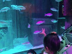 -沈阳海洋探索中心