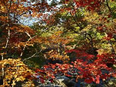 -本溪老边沟风景区