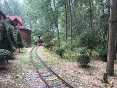 -合肥滨湖国家森林公园