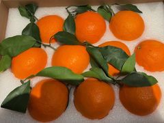 -新荣记(BFC外滩金融中心店)