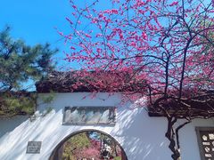 -杭州植物园