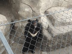 -石家庄市动物园