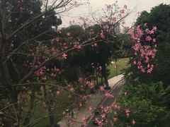 -广州市白云山风景名胜区