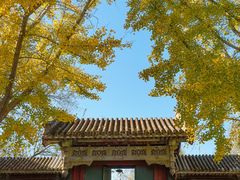 -颐和园
