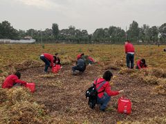 -解家河南菜(商鼎路店)