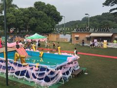 -观澜湖高尔夫球会