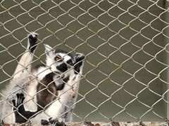 -哈尔滨北方森林动物园