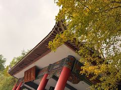 -四川大学(华西校区)