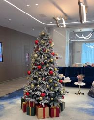 -深圳米兰柏羽医疗美容医院