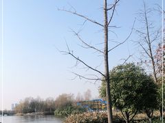 -洋湖国家湿地公园