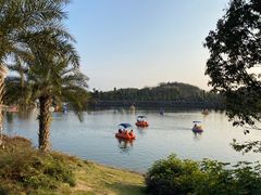 -枫香湖儿童公园