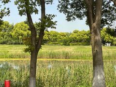 -苏州太湖国际高尔夫俱乐部