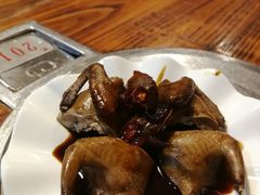 -旺金鸽(穗盐路总店)