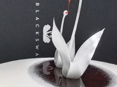 -BLACKSWAN黑天鹅(环球店)