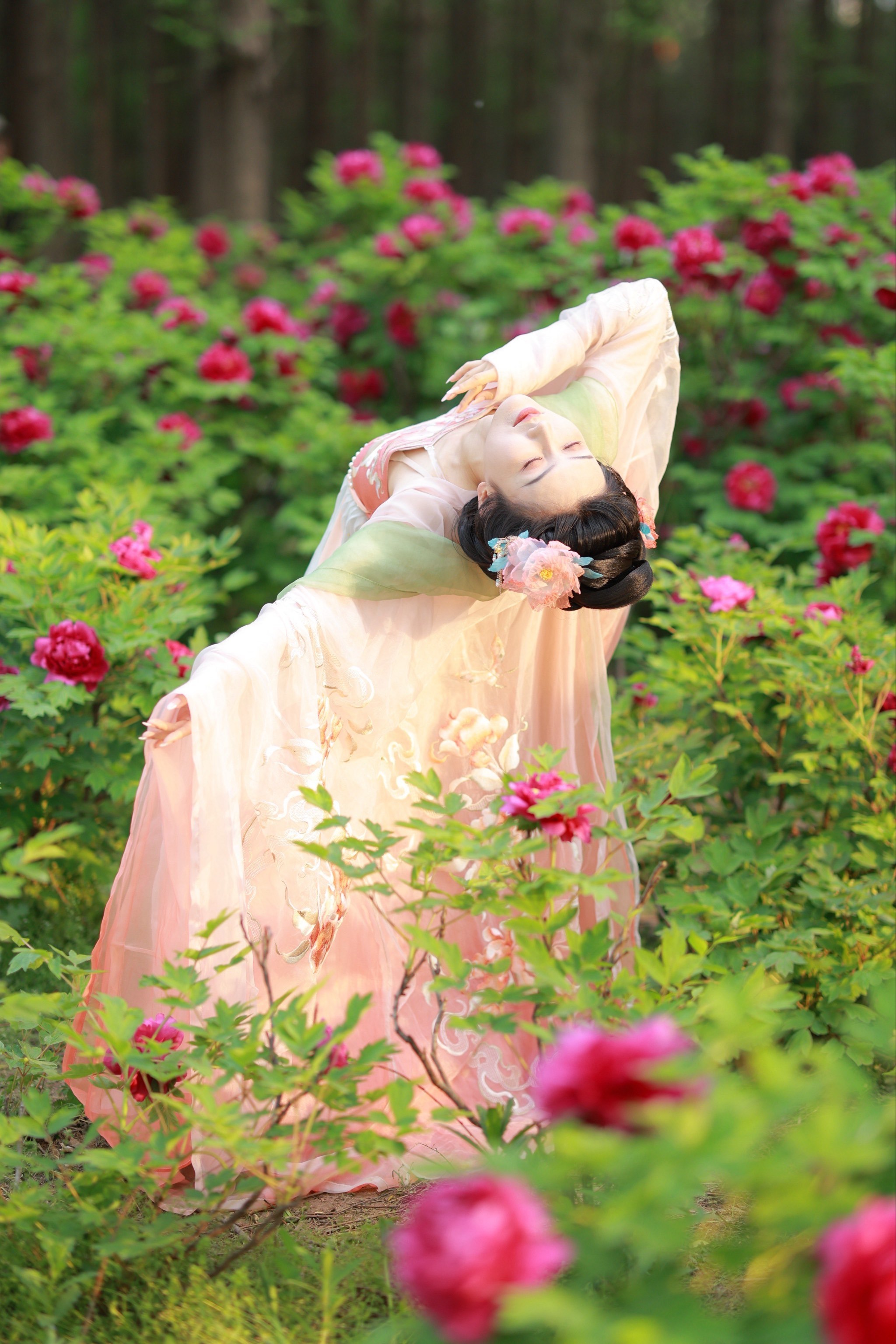 一起来看牡丹花 #又到了赏花拍照的季节