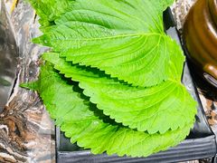 -啊美丽炭火烤肉(滑翔一店)