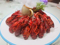 -杨氏青龙虾·羊蝎子(金盛路总店)