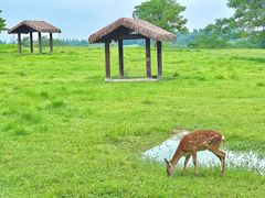 -良渚古城遗址公园