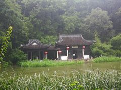 -镇江市南山风景名胜区竹林景区