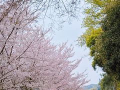 -团城山公园
