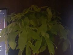 -泰之源足浴会所(玉环店)