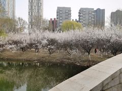 -长白岛森林公园