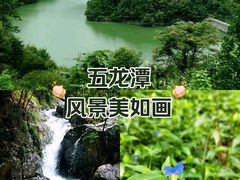 -宁波五龙潭景区