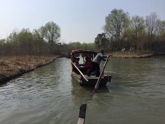 -溱湖国家湿地公园