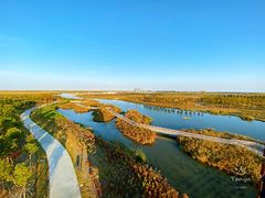 -春花秋色城市公园