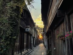 -西溪国家湿地公园