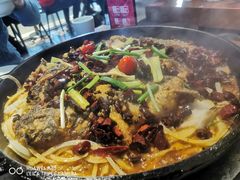 老板恋上鱼-老板恋上鱼(高新万达店)