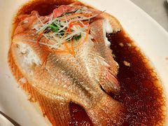 -华盛丰温州大排档(东三环南路店)