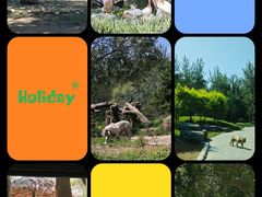 -北京野生动物园