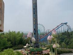 -南京银杏湖乐园