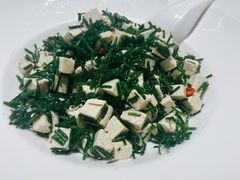 沙葱拌豆腐-宁夏国强手抓羊肉·清真菜(未央路凤三店)