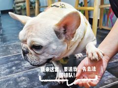 -富贵面包公司(运河店)