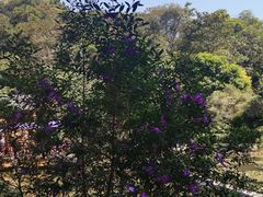 -云溪植物园