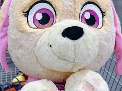 -山姆会员商店(亦庄创意生活广场店)