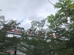 -农厨好味·温泉鹅·农家菜