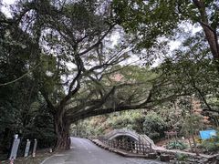 -广州市石门国家森林公园