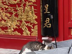 -武汉长春观