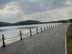 -上海月湖雕塑公园