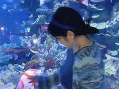 -左海海底世界