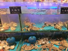 -SEA西雅图海鲜自助餐厅(海乐世界店)
