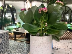 -La Maison 夜来香(进贤路店)