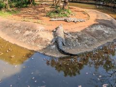 -海南热带野生动植物园