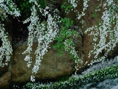 -中国茶叶博物馆(双峰馆区)