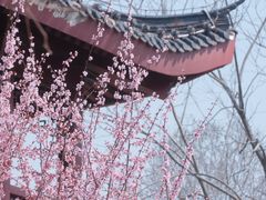 -堤角公园