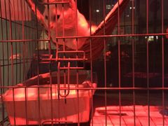 -赢吧Bliss音乐酒吧